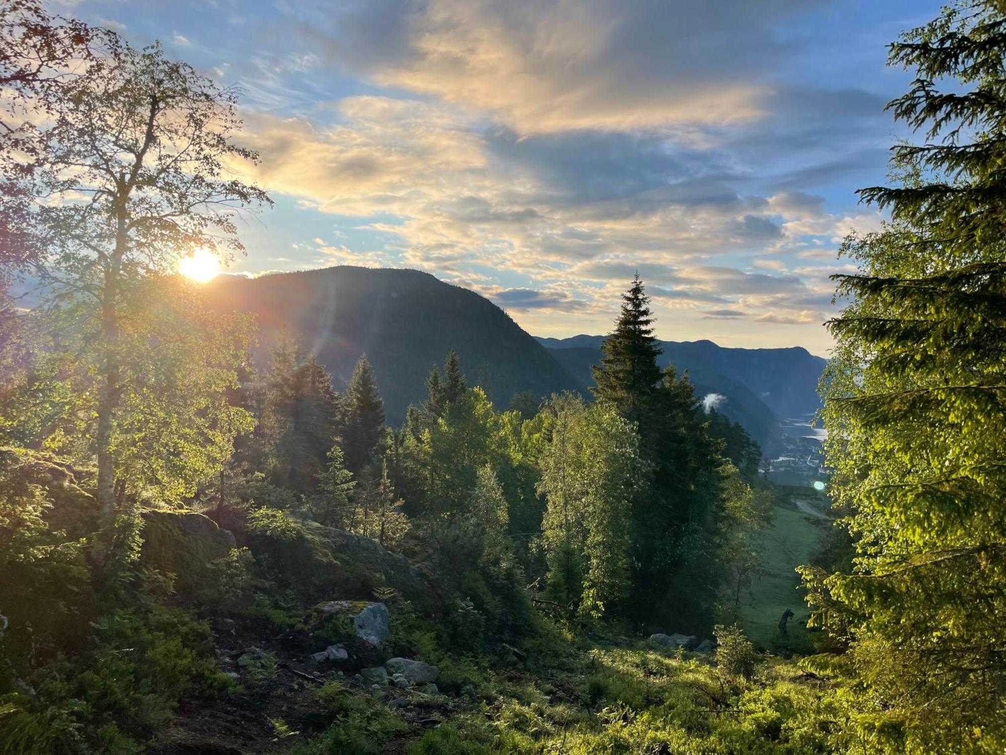Vidsyn Midjas Hotel Vistad Buitenkant foto